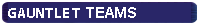 Gauntlet teams