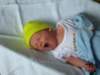 jasper046_small.jpg