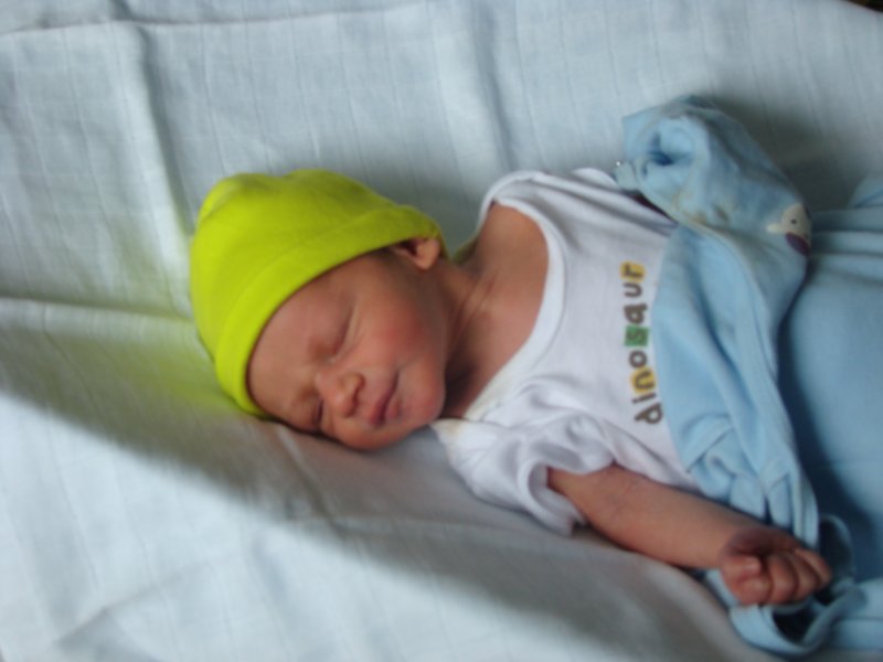 jasper047.jpg
