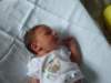 jasper048_small.jpg
