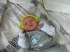 jasper049_small.jpg