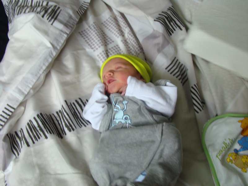 jasper052.jpg