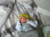 jasper053_small.jpg