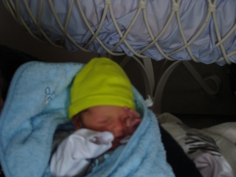 jasper060.jpg