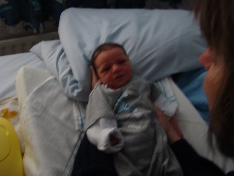 jasper065.jpg