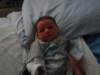 jasper067_small.jpg