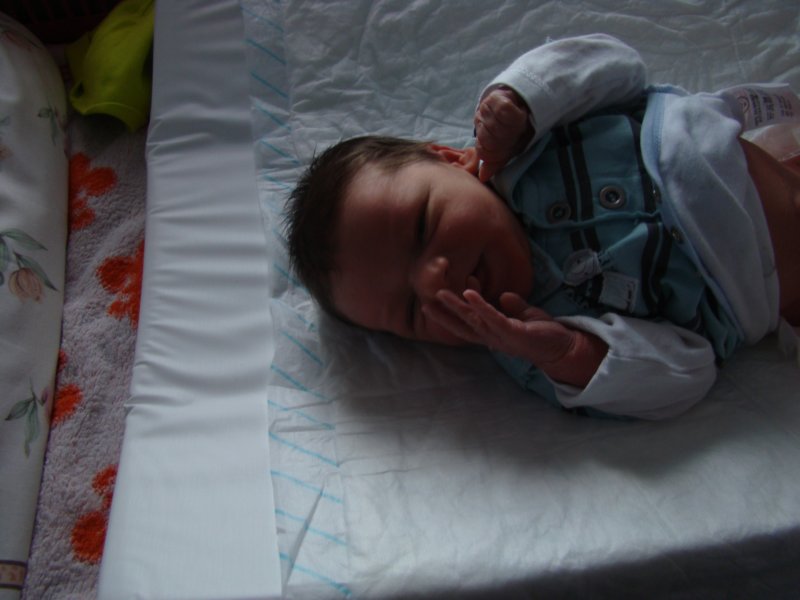 jasper070.jpg