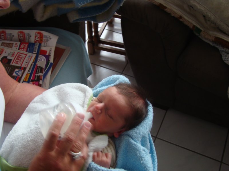 jasper082.jpg