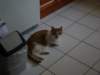 jasper083_small.jpg