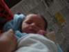 jasper085_small.jpg
