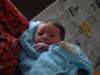 jasper086_small.jpg