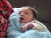 jasper087_small.jpg