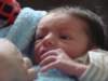 jasper090_small.jpg