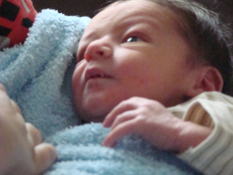 jasper091.jpg