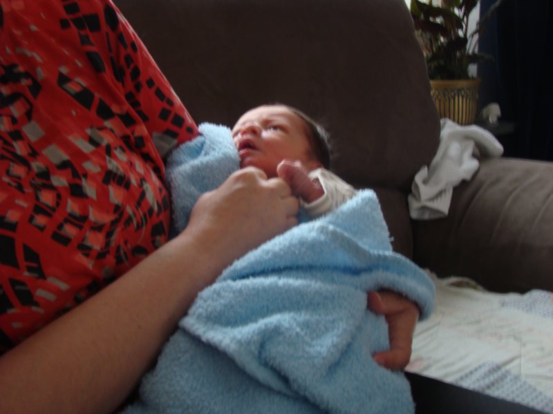 jasper093.jpg