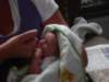 jasper098_small.jpg