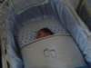 jasper099_small.jpg