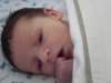 jasper107_small.jpg