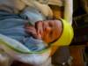 jasper111_small.jpg