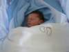 jasper123_small.jpg