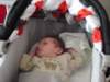 jasper136_small.jpg