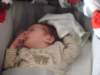 jasper137_small.jpg