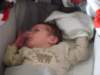jasper138_small.jpg