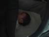 jasper139_small.jpg