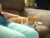 jasper159_small.jpg