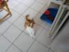 jasper176_small.jpg