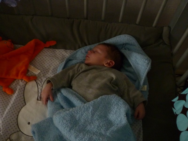 jasper199.jpg