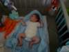 jasper219_small.jpg