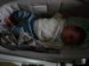 jasper224_small.jpg